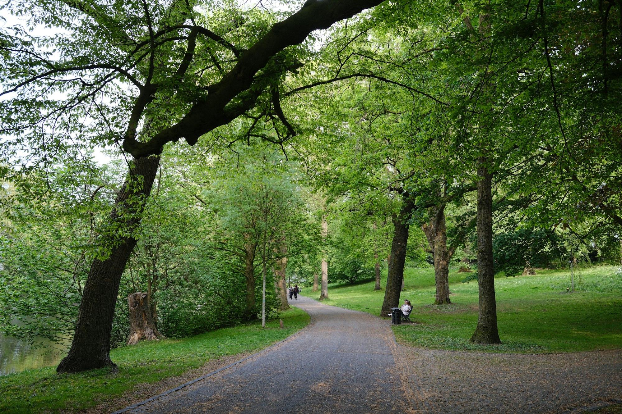 A tree-lined path curving through a green park, with people walking